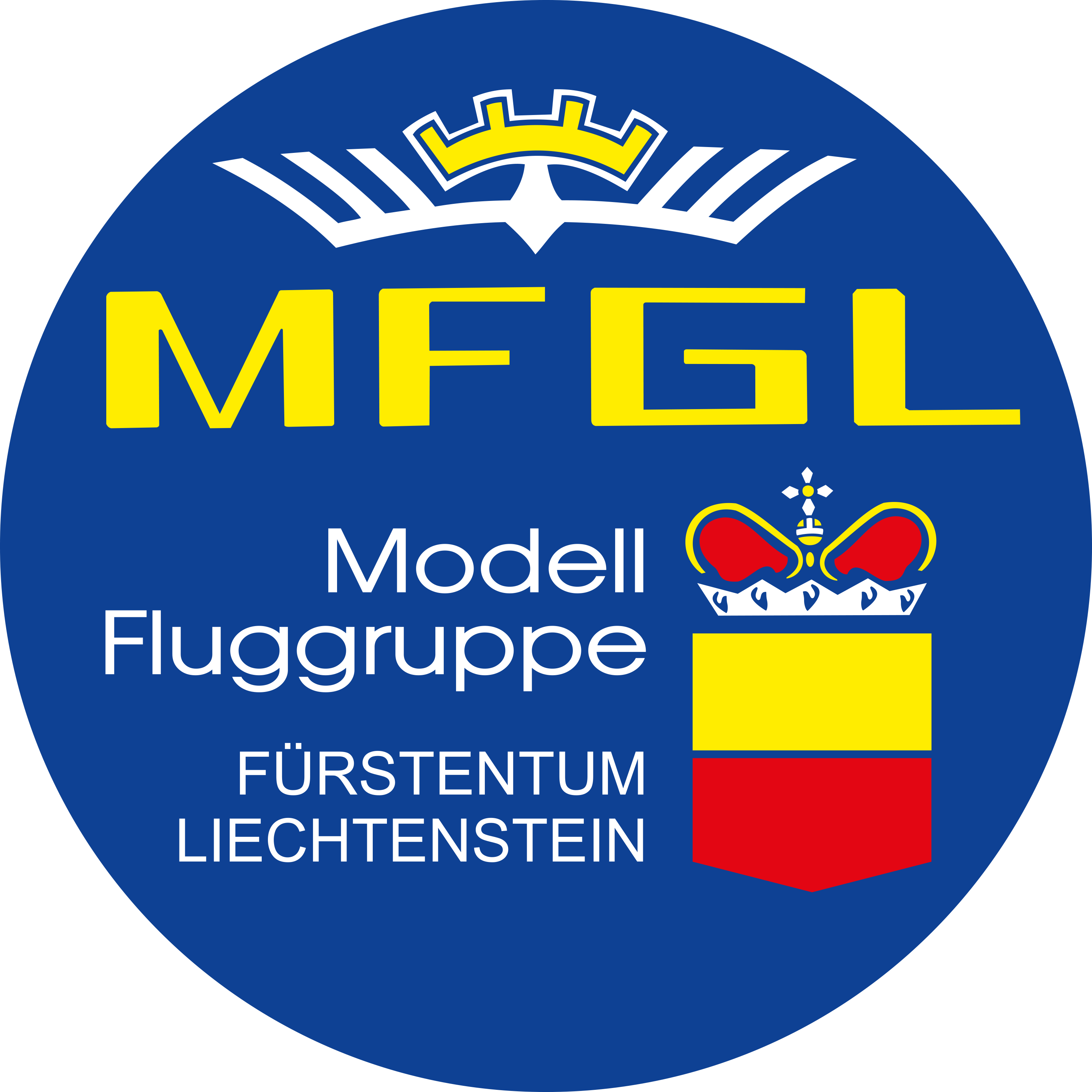 Schaufliegen Modellfluggruppe Liechtenstein (MFGL)